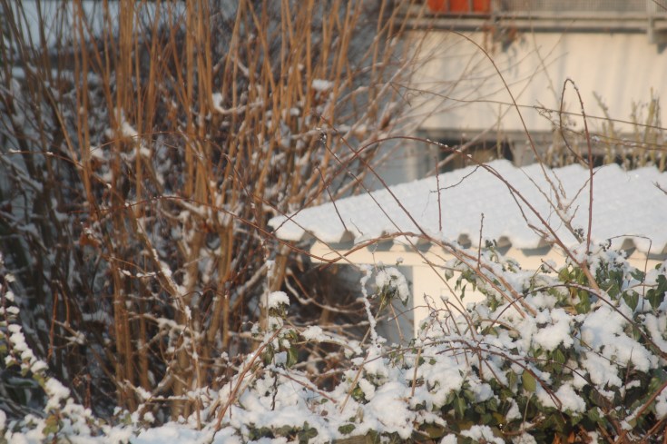 Schneeblog05